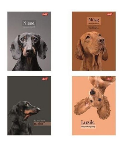 Zeszyt A4/60k kratka Doggy Moods (10szt), UNIPAP