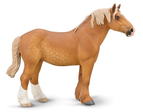 Klacz Belgijska Maści Kasztanowatej, Collecta