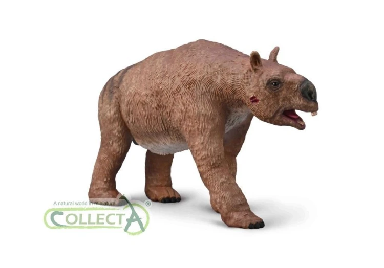 Diprotodon 1:20, Collecta