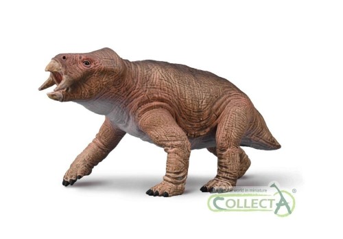 Placerias 1:20, Collecta