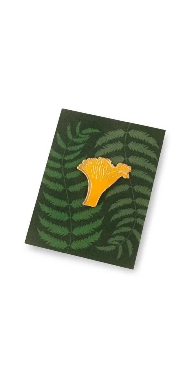 Pin grzyb kurka, Kabak