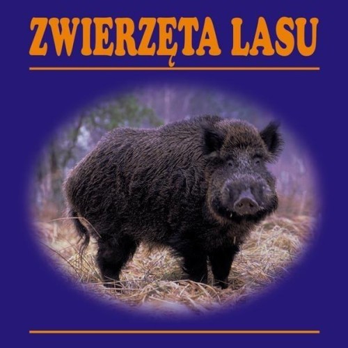 Zwierzęta lasu harmonijka, praca zbiorowa