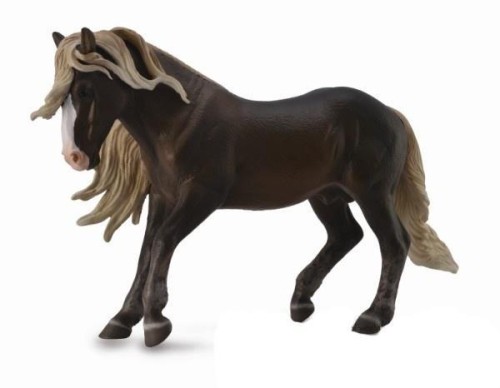 Ogier szwarcwaldzki, Collecta