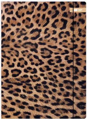 Teczka A4+ z gumką Safari Leopard HAPPY COLOR, GDD