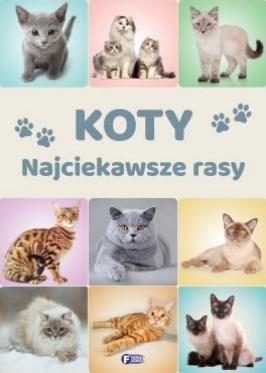 Koty. Najciekawsze rasy, praca zbiorowa