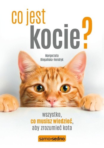 Co jest kocie? Wszystko, co musisz wiedzieć, aby..