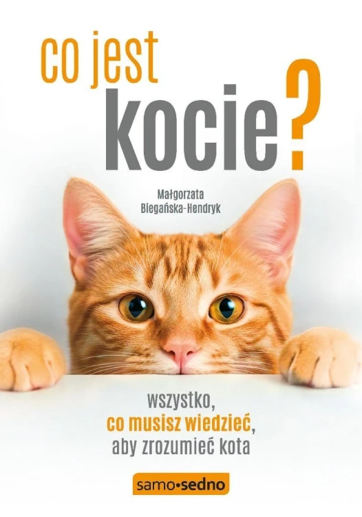 Co jest kocie? Wszystko, co musisz wiedzieć, aby..
