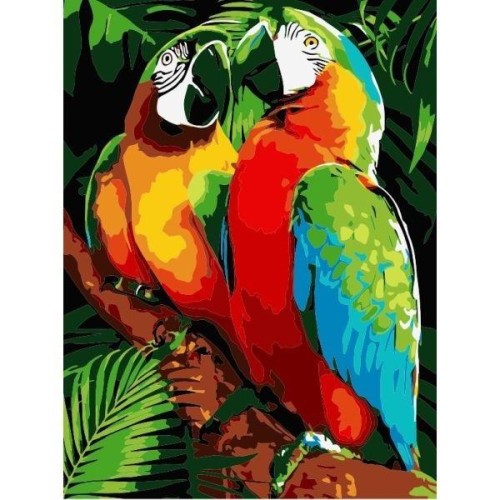 Malowanie po numerach - 30x40cm Papugi, Titanum