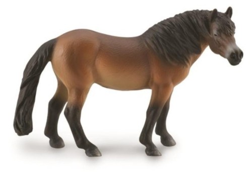 Ogier Kuc Exmoor, Collecta
