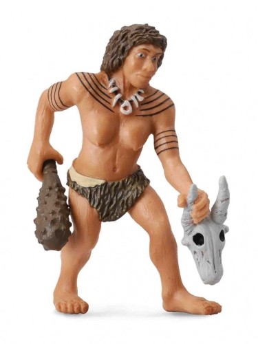 Neandertalczyk kobieta, Collecta