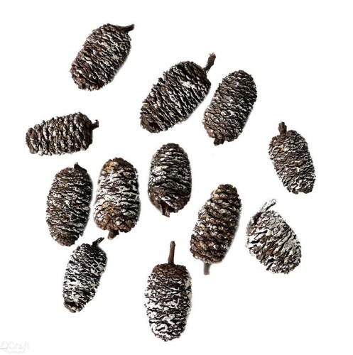 Mini szyszki bielone 12szt, Dalprint