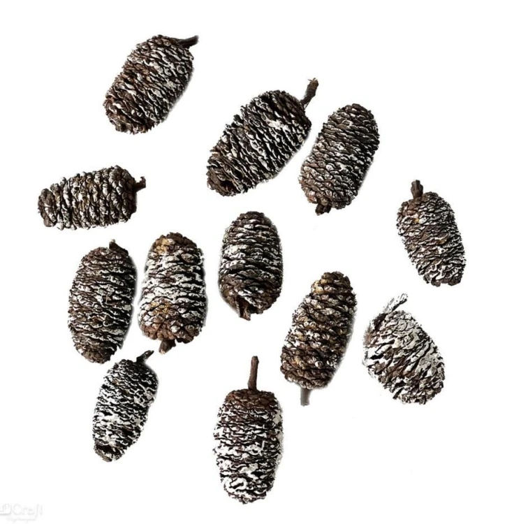 Mini szyszki bielone 12szt, Dalprint