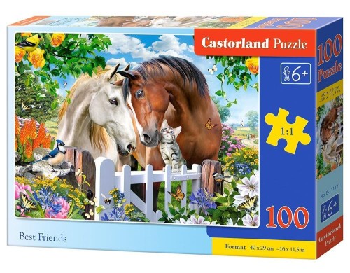 Puzzle 100 Best Friends CASTOR, Castorland