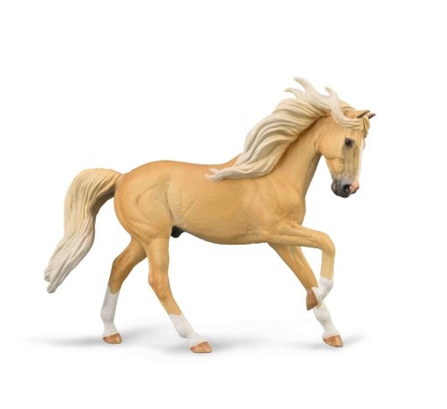 Ogier andaluzyjski maści Palomino, Collecta