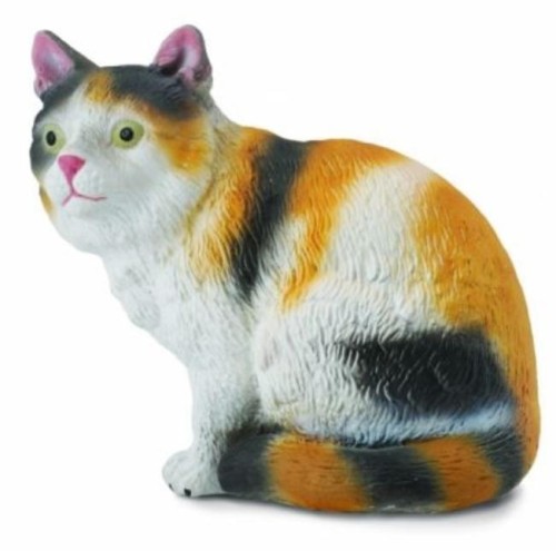 Kot domowy siedzący - trzykolorowy, Collecta