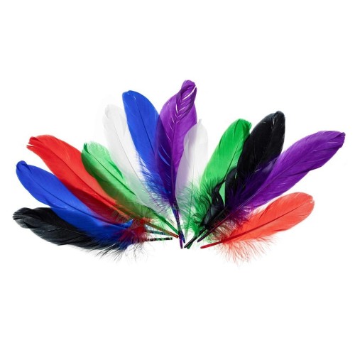 Piórka gęsie jaskrawe 15-20cm, Brewis