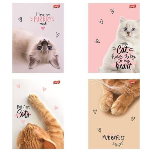 Zeszyt A5/60k kratka Purrfect Moments (10szt)
