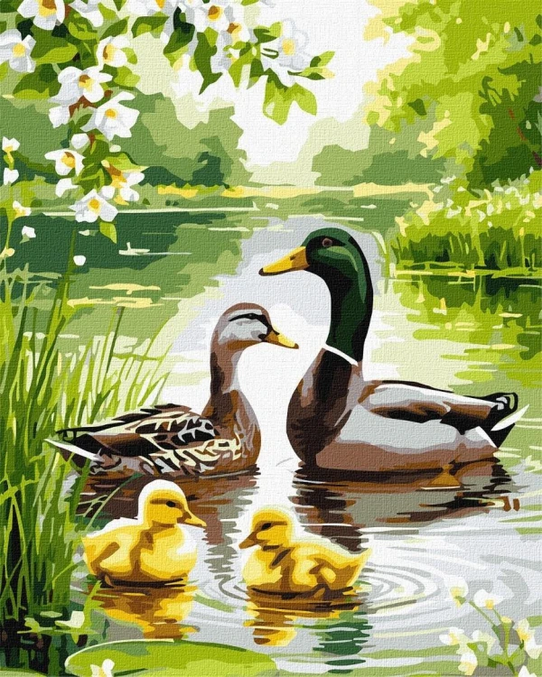 Malowanie po numerach - Kacza rodzina 40x50cm