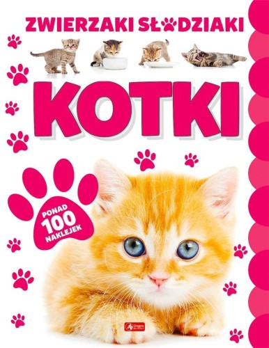 Kotki, praca zbiorowa