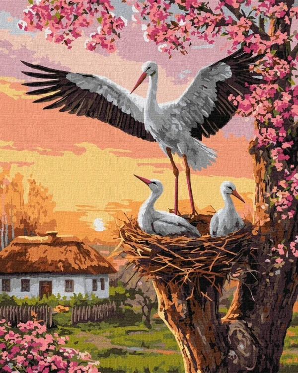 Malowanie po numerach - Rodzina bocianó 40x50cm