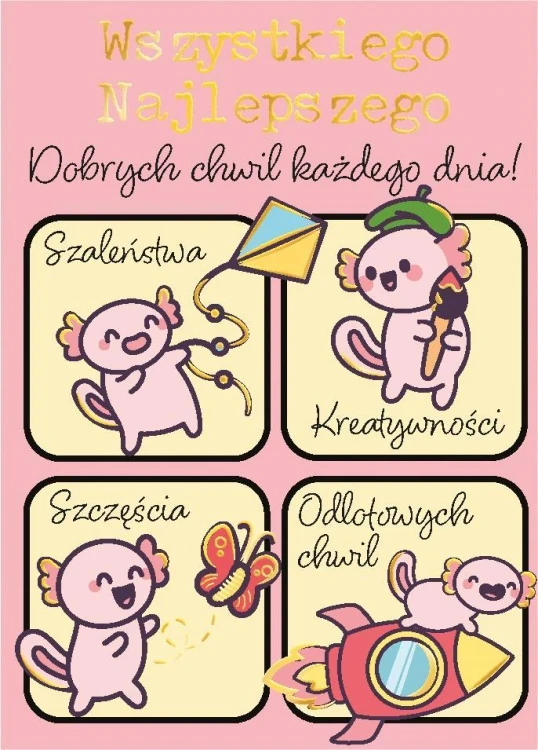 Karnet B8 mini Aksoloty z insta