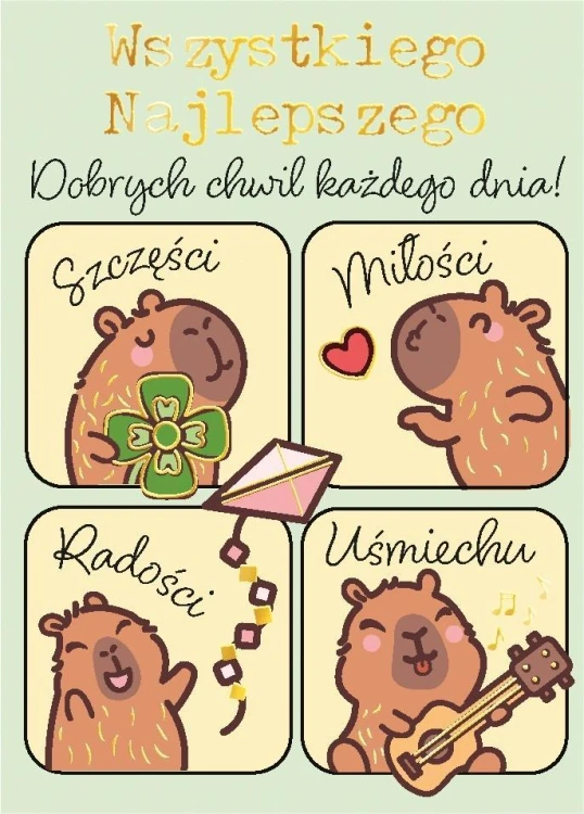 Karnet B8 mini Kapibary z insta
