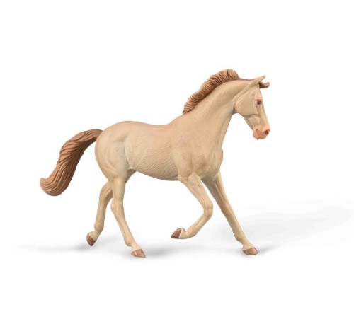 Klacz Thoroughbred maści Perlino, Collecta