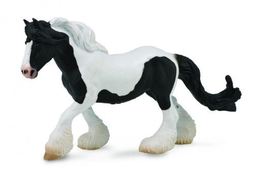 Klacz cygańska łaciata, Collecta