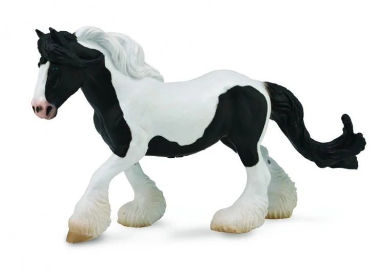 Klacz cygańska łaciata, Collecta