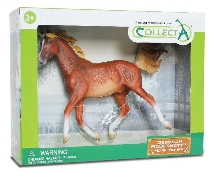 Koń arabski kasztan, Collecta