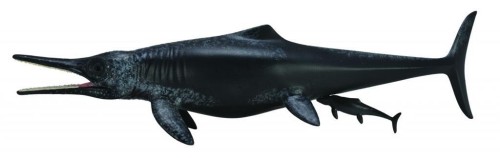Dinozaur Temnodontozaur, Collecta