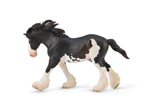 Ogier Clydesdale maści Black Sabino, Collecta