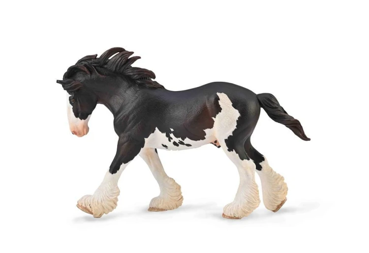 Ogier Clydesdale maści Black Sabino, Collecta