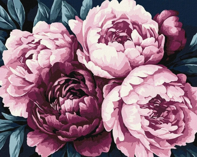 Malowania po numerach - Płatki kwiatów 40x50cm