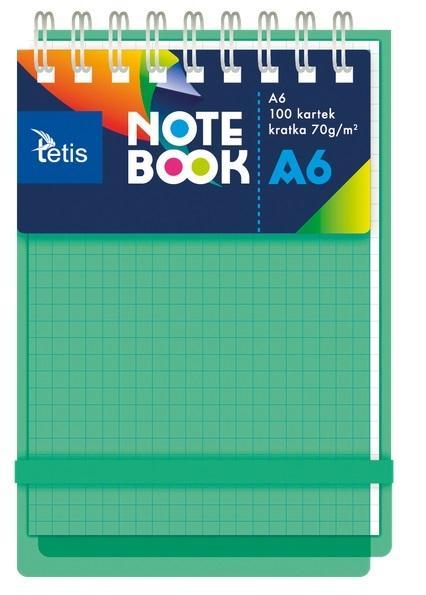 Kołonotatnik A6/100K kratka PP zielony, Tetis