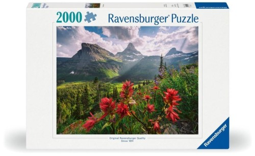 Puzzle 2000 Krajobraz, Ravensburger