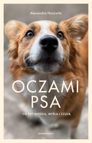 Oczami psa. Co psy widzą, czują i wiedzą