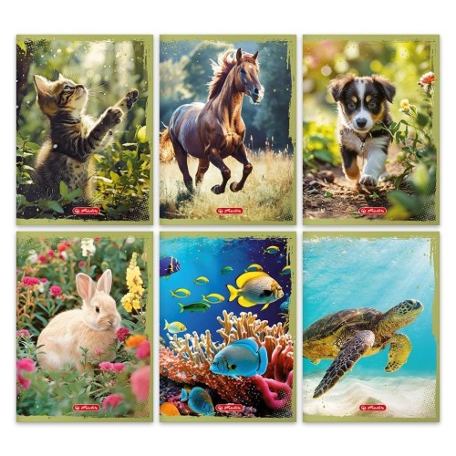 Zeszyt A5/32K linia Animals (10szt), HERLITZ
