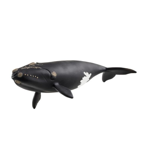 Wieloryb biskajski, SCHLEICH