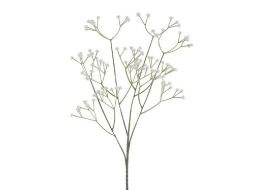 Gipsówka biała 62cm