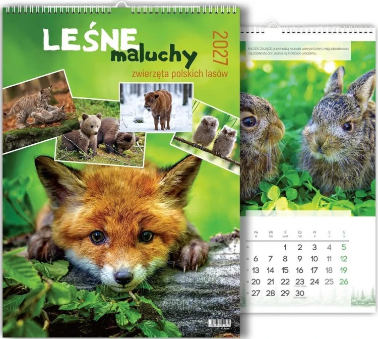 Kalendarz 2027 wieloplanszowy Leśne maluchy