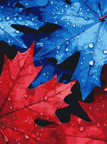 Malowanie po numerach - Jesienna rosa 30x40cm