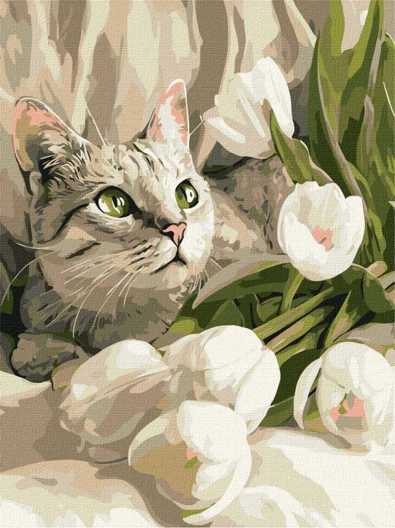 Malowanie po numerach - Zielonooki kot 30x40cm