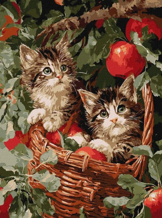 Malowanie po numerach - Koty w koszyku 30x40cm