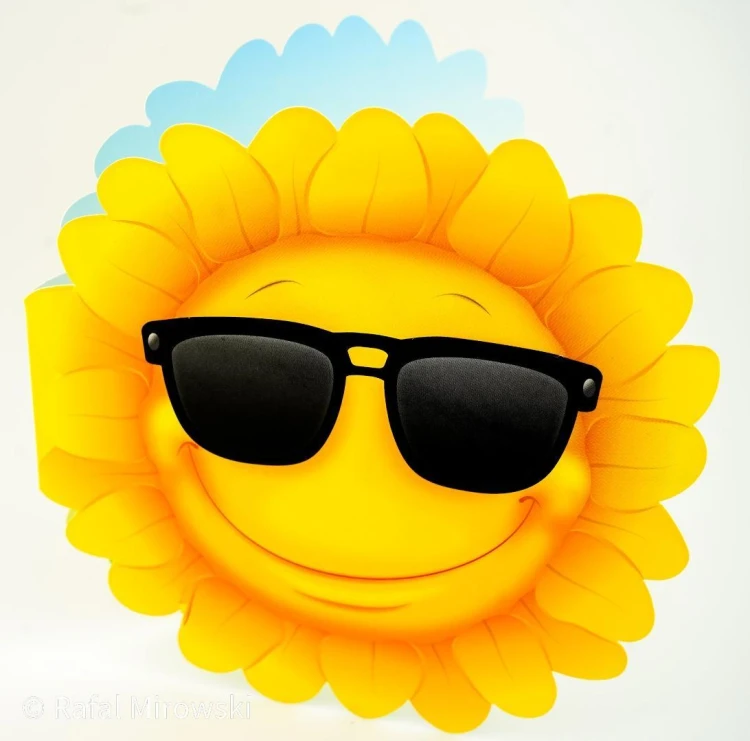Karnet Uniwersalny - Sunflower