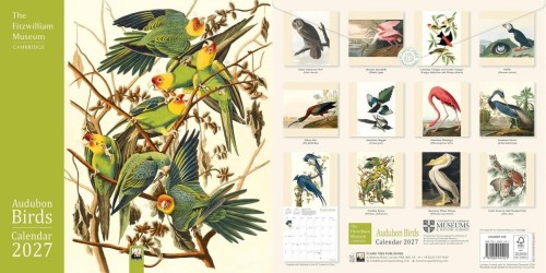 Kalendarz 2027 ścienny kwadrat Audubon Birds