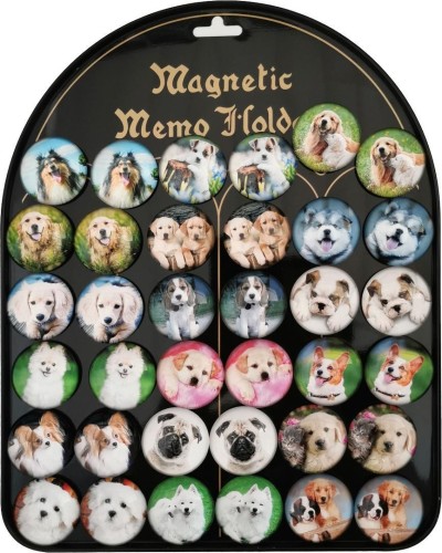 Magnesy psy 3,5cm 36szt, Aliga
