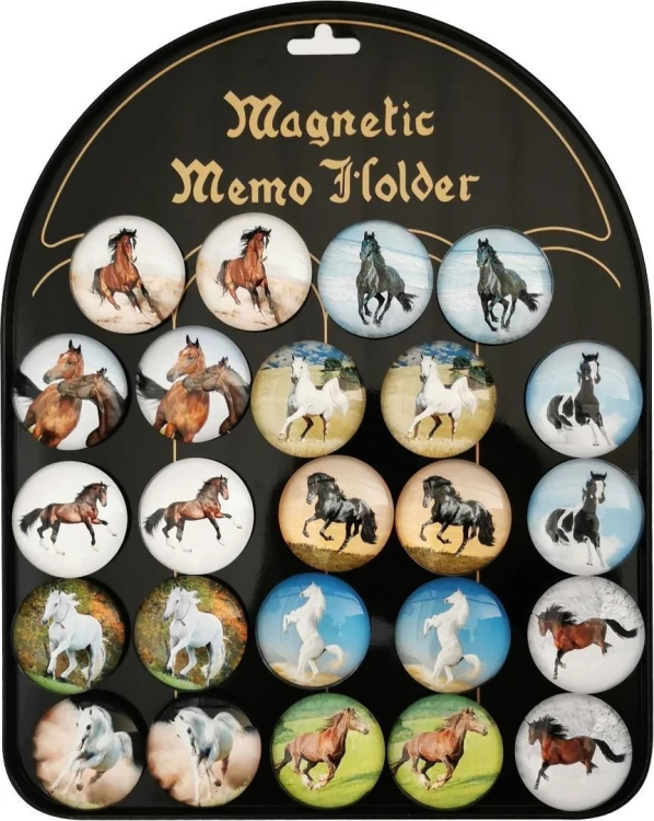 Magnesy konie 24szt, Aliga