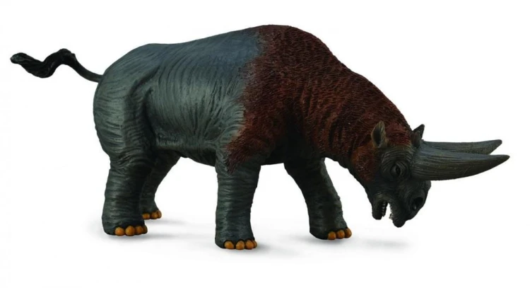Dinozaur arsinoitherium, Collecta