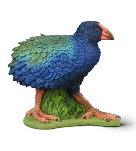Takahe południowy, Collecta